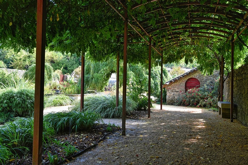 Magical Arbors