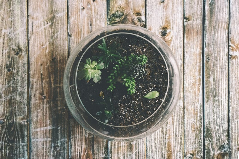 Whimsical Terrarium